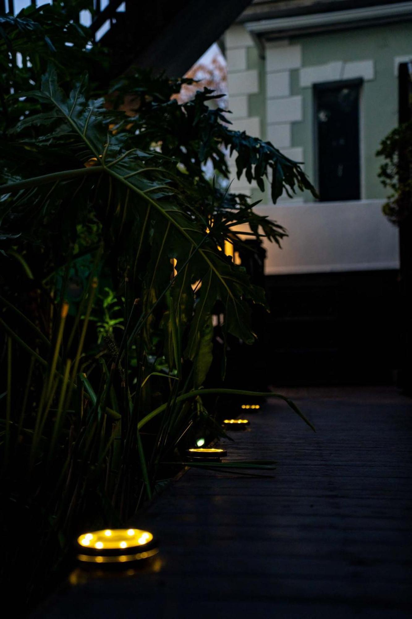 Point's Pod - Indulge In An Urban Oasis Apartment